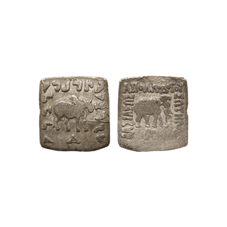 Indo-Greek, Apollodotous I, Silver Drachma, 2.18gm, Obv: Elephant, standing right, MT mono