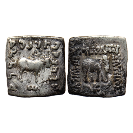 Indo Greek, Apollodotus I (c. 110-80 BC), Silver Drachms, 2.37gm, Obv: Elephant walking to