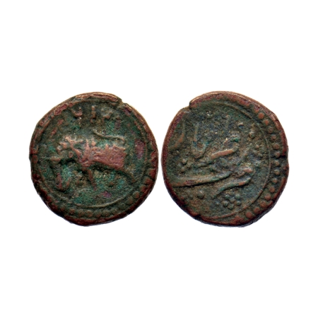 Mysore, Copper 1/2 Paisa, 5.66gm, Tipu Sultan, Nazarbar Mint, AM 1216, Obv: Date & Elephan