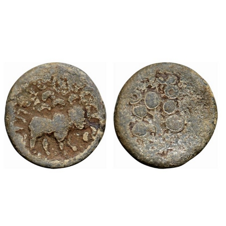 Satavahanas, Sri Satakarni, Nevasa-Paithan Region, Lead Unit, 12.30gm, Obv: Humped bull wa