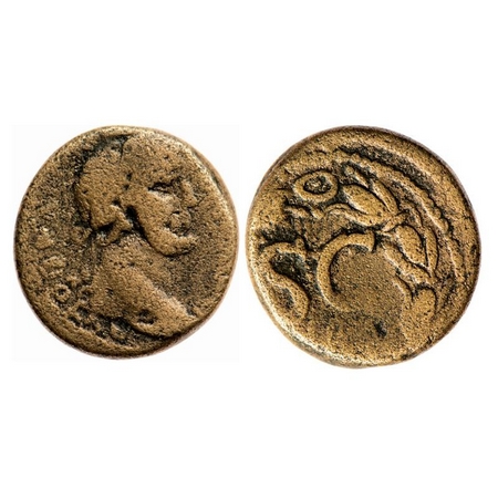 Roman, Copper, 10.34g, Galba, Obv: Bust of the king facing right, Rev: S C withing floral 