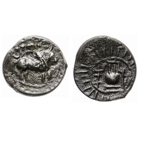 Post Vakataka, Sri Rana, Vishnukundin type, Copper Base Alloy, 2.18g, Obv: Bull walking to