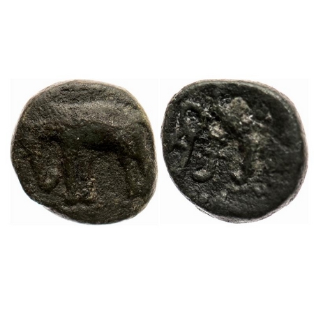 Post-Gupta, Western Maharashtra, elephant type, Copper, 2.11g, 11.85x11.81mm, Obv: Elephan