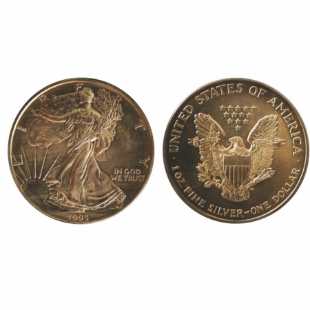United States, Silver Dollar (0.999 silver), 31.60g, 1993, Obv: The Walking Liberty stridi