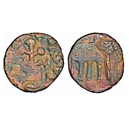 Post Sunga, (100BC-130AD), Vatsa- Kaushambi, Monarchical Coinage, Rajamitra,?, Copper, 1.6