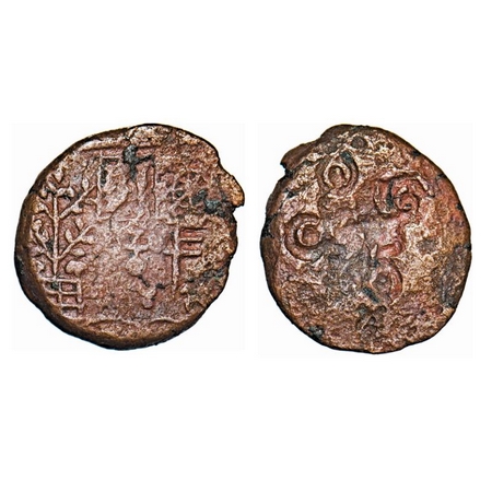 Ujjain, Copper, Uninscribed die struck, 5.89g, 19.79x18.05mm, Obv: Tree-in-railing, fishes