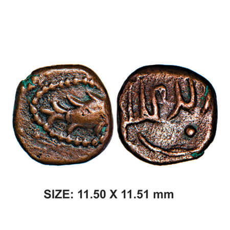 Nawab of Arkat, 17th century, Copper, 2.10g, Obv: Fish Facing Right with in dotted Circle,