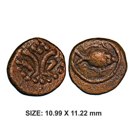 Nayaks of Senji (probably), 16th century, Copper, 1.34g, Obv: Fish Facing Right with in a 