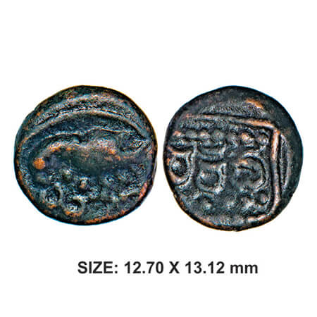Cheiftons of Vellore, Jaggaraya, 1614 AD, Copper, 3.18g, Obv: Parrot facing left with fish