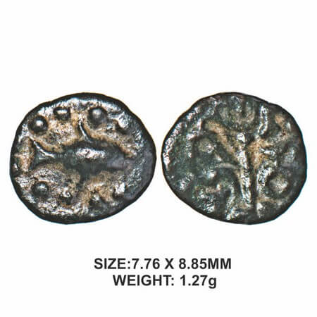 Medieval Gujarat, Attributed to Sri Bhimajaya, Copper, 1.27g, Obv: Fish within dotted bord