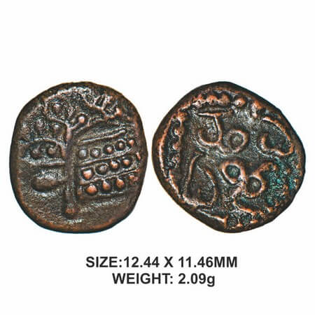 Madurai Nayakas, 17thcentury, Sri Mangamma series, Copper, 2.09g, Obv: Tree Branch, Rev: '