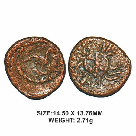Senji Nayakas, 16th century, Copper, 2.71g, Obv: Peacock facing right with in Dotted Borde