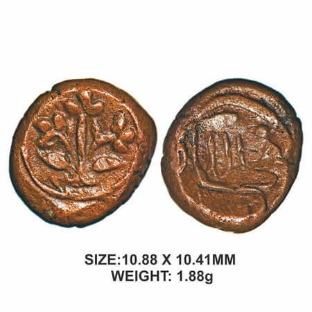 Nawabs of Arkat, 18th century, Copper, 1.88g, Obv: Pot with three flower branches all with