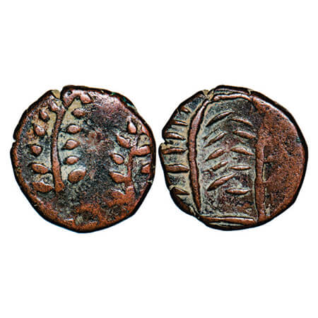 Mewar, Copper Paisa, 3.77g, British Protectorate (1760-1806 AD) issues, Plam frond on both