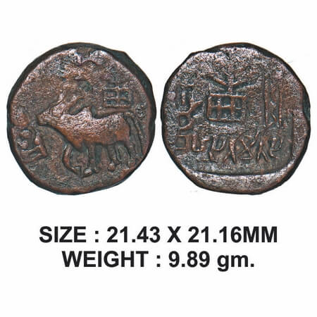 Kausambi Area, Brhaspatimitra, Copper Unit, 6.48gm, Obv: Bull walking to left above tree i