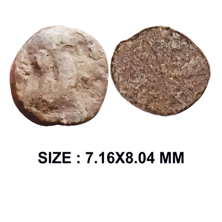 Satavahanas, Siri Yajna Satakani, Portrait Type, Vidarbha region (180-220 AD) Lead, 0.63g,