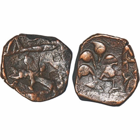 Dhar, Copper Kachha Paisa, 10.01g, Unknown Mint, INO Shah Alam II, with Bird (pigeon) on o