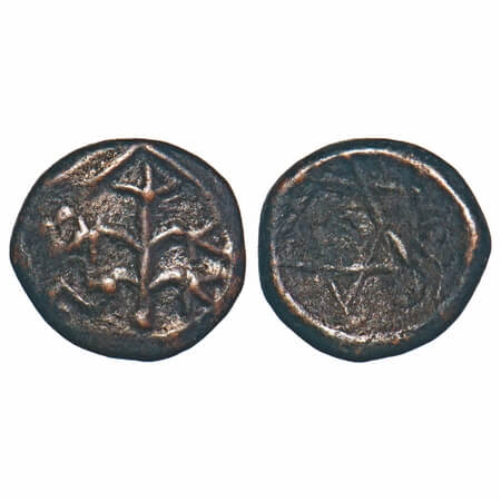 Arcot Nawabs, (18c AD), Copper Kasu fraction, 1.47g, 11.51x12.22 mm, Obv: Motif of a tree,