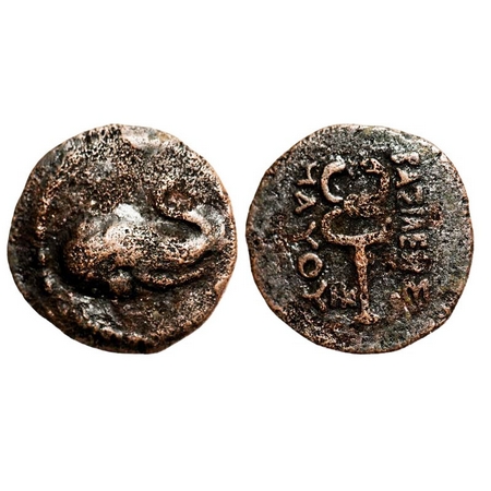 Indo-Scythians, Maues, Copper Drachma, 8.45g, 28.28x28.08 mm, Obv: Elephant head to right 