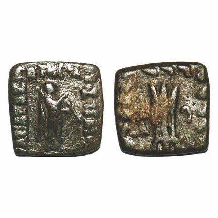 Indo-Greeks, Apollodotus II, Copper Square Unit, 8.80g, 21.56x21.70mm, Obv: Apollo standin