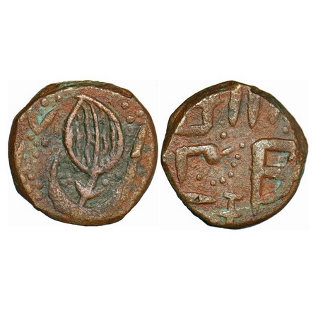 Sikh Empire, Copper Paisa, 6.80g, Amritsar Mint, Gurumukhi legends, Obv: Double Leaf symbo
